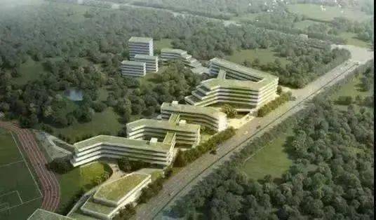 广州2021各区人口_广州各区gdp2021图(3)