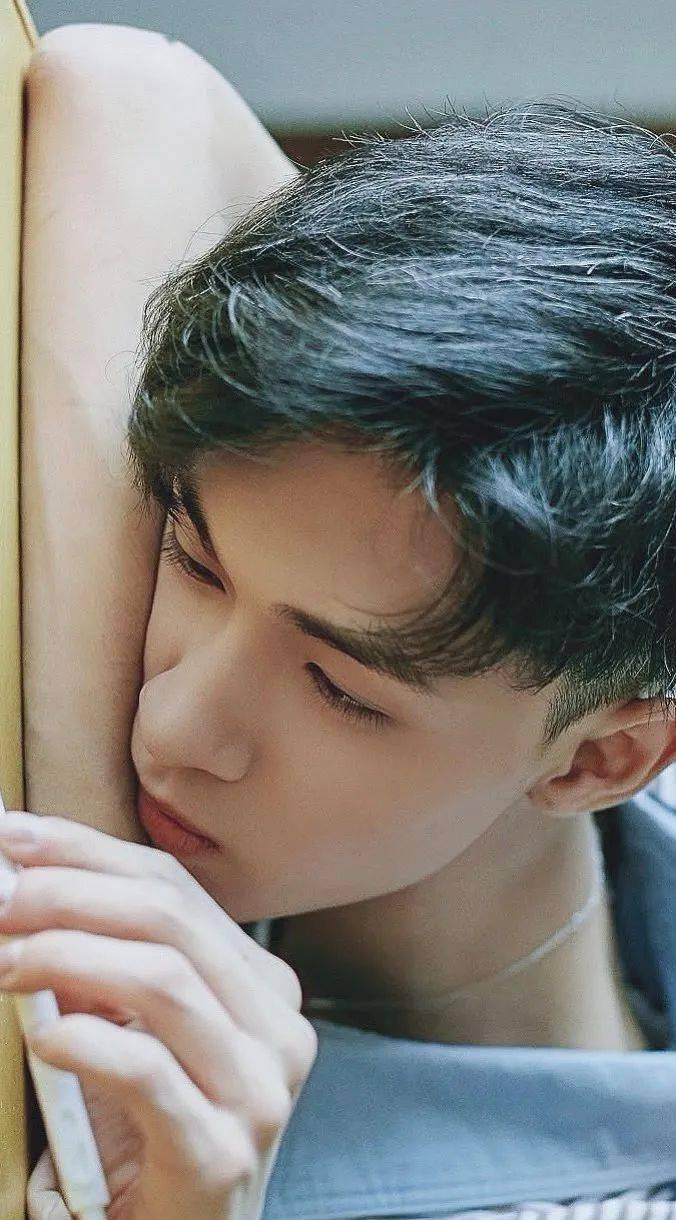 手机壁纸秦霄贤