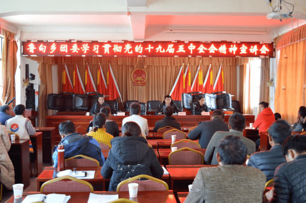 团区委组织40余名青年志愿者分两组到丽江益田文创园和昌洛河广场