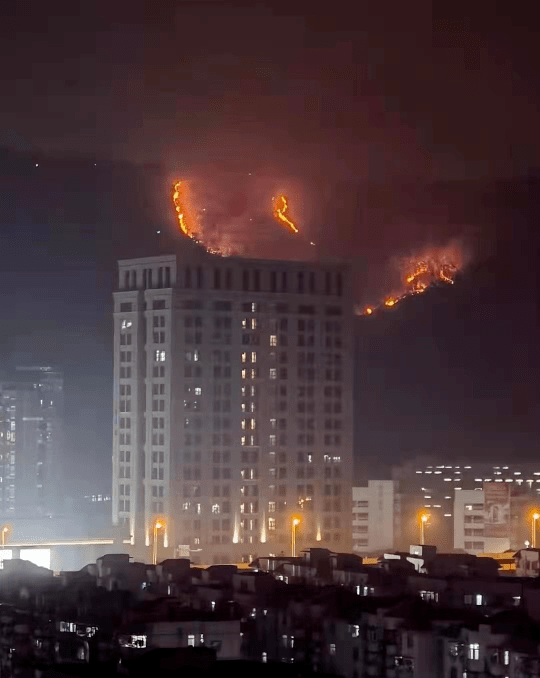 大南山发生山火广东省深圳市南山区南山街道