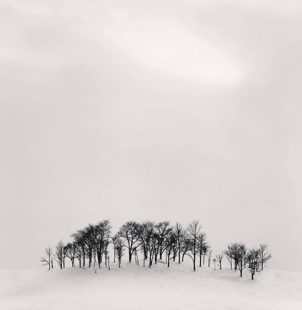 摄影雪景中的禅意