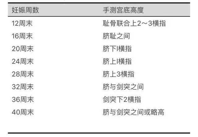 (一)子宫增大根据手测宫底高度及尺测耻上子宫长度(下表),可以判断