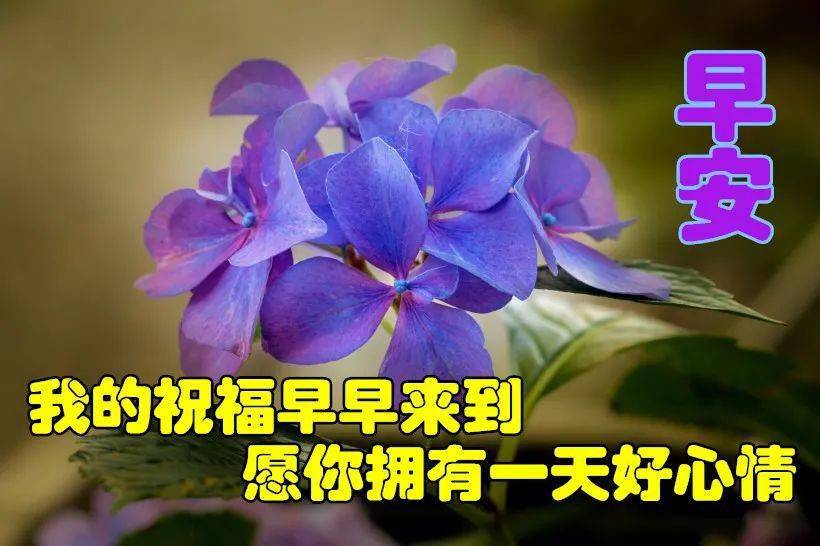 2021新版朋友圈早晨好图片祝福1月份新版早晨好表情好带图片
