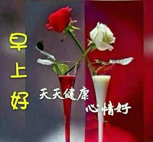 清晨早安问候祝福动态表情图片 早安祝福语动图带字 寻找