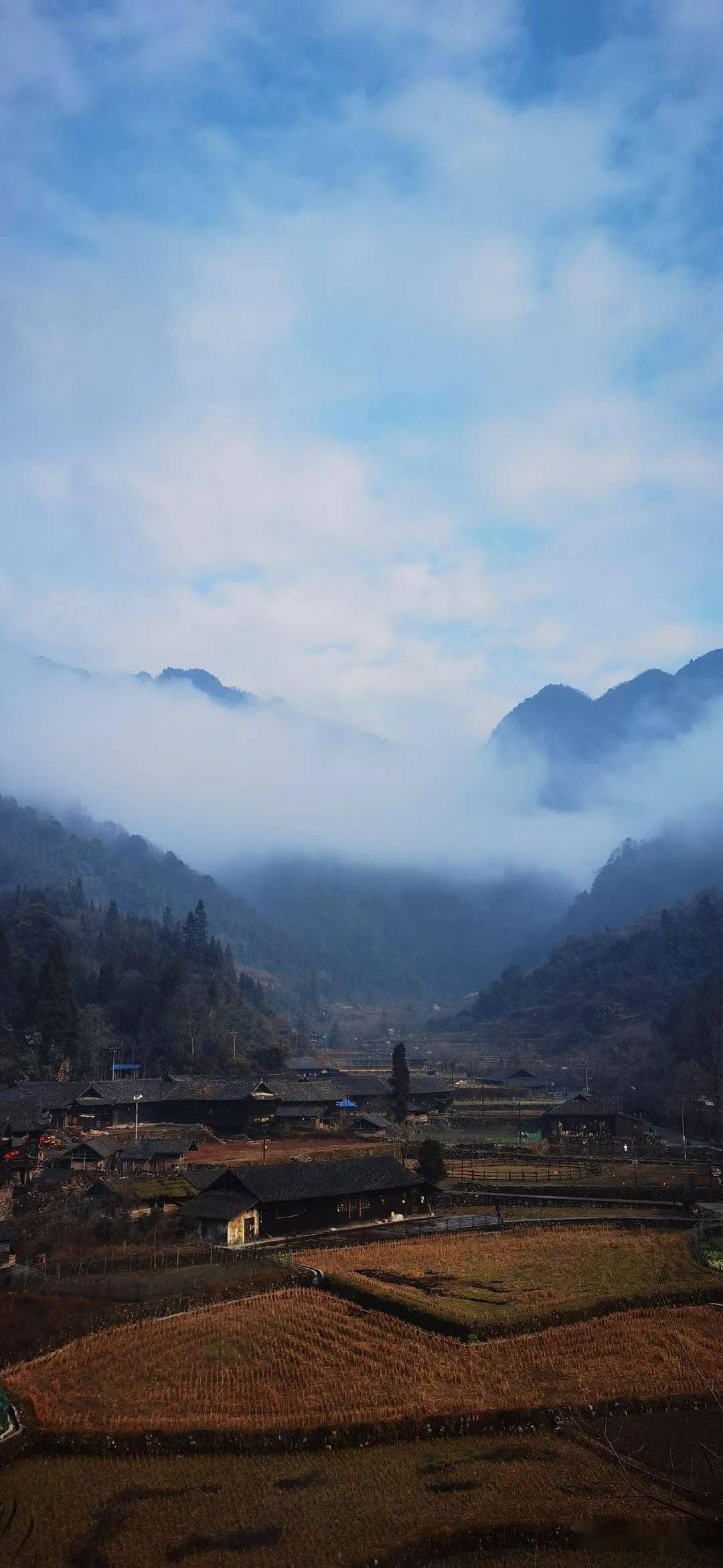 【分享】牧笛溪产生首批"荣誉村民"