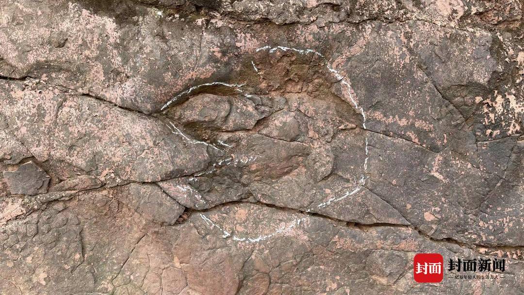 四川自贡恐龙馆专家赴乐山考察 确认千佛岩景区足印系距今1亿年的白垩纪恐龙足迹