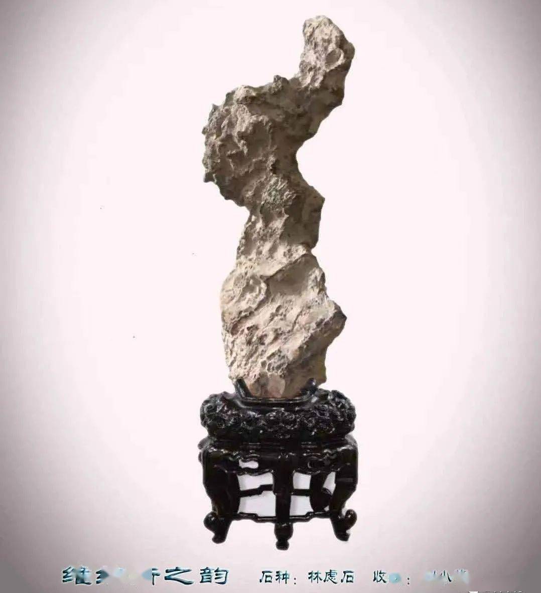 维纳斯之韵石种:林虑石 收藏:刘小梅希腊神话一女神娇躯断臂美化身