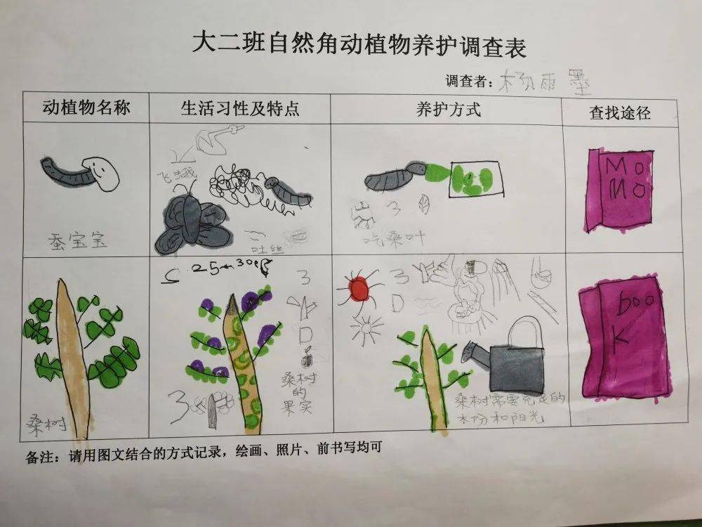 身边植物调查表图片