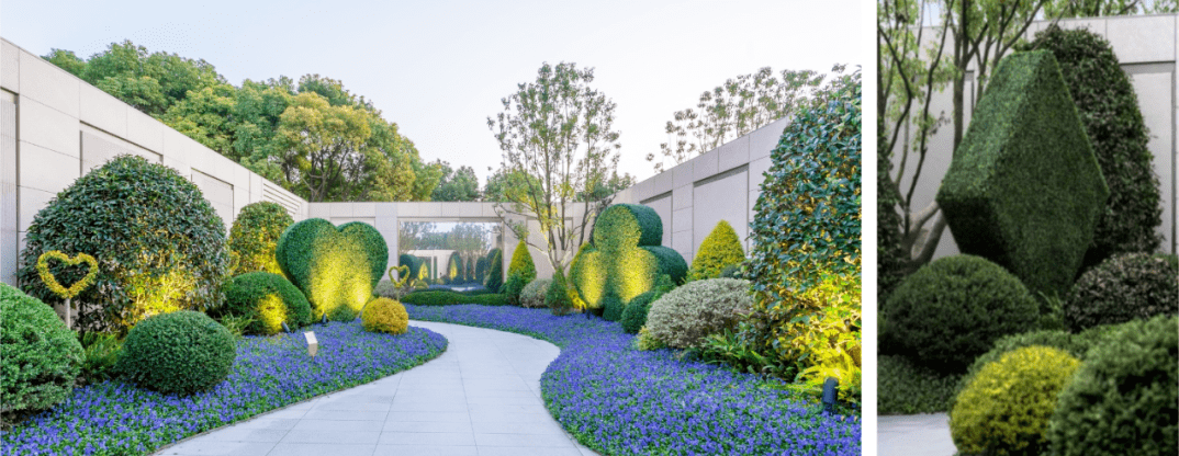 如果不知道种什么,那就种个"球"吧!