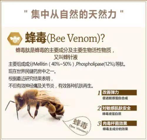 蜜蜂蜂毒临床适应症如下 疗法