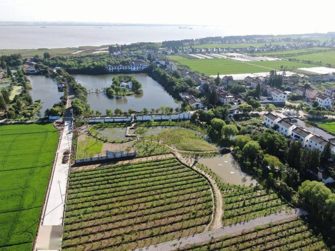 塘桥镇竟然藏着这样一家宝藏之地!_农庄