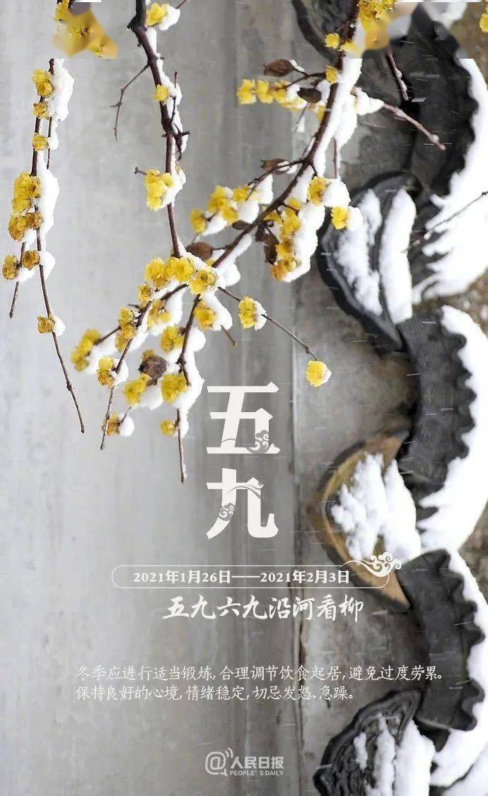 残冬五九我们一起沿河看柳