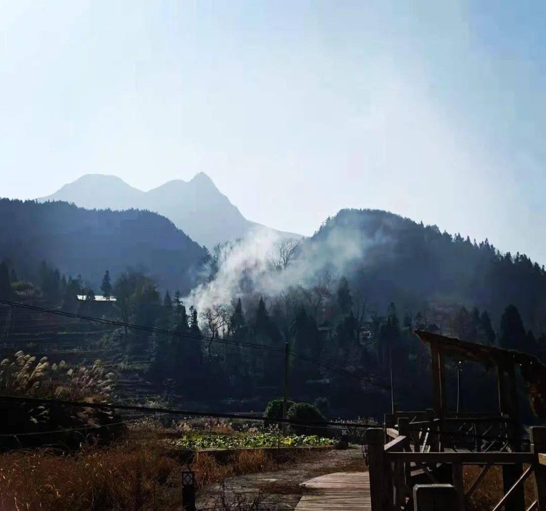 奔跑的山羊重慶市酉陽縣山羊村蝶變記