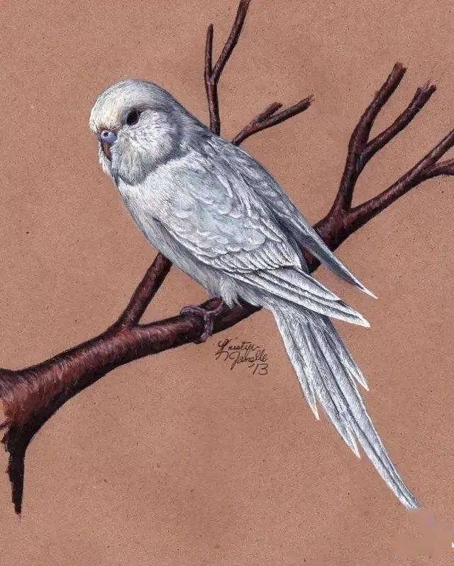 她的鸟画的非常粗糙,但却让人忍不住收藏!