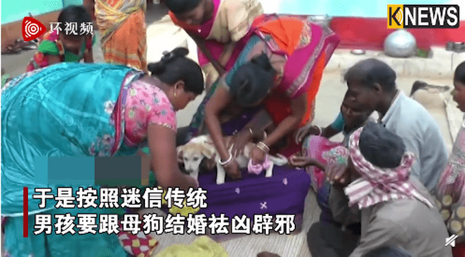 印度男童为辟邪跟母狗结婚（图）