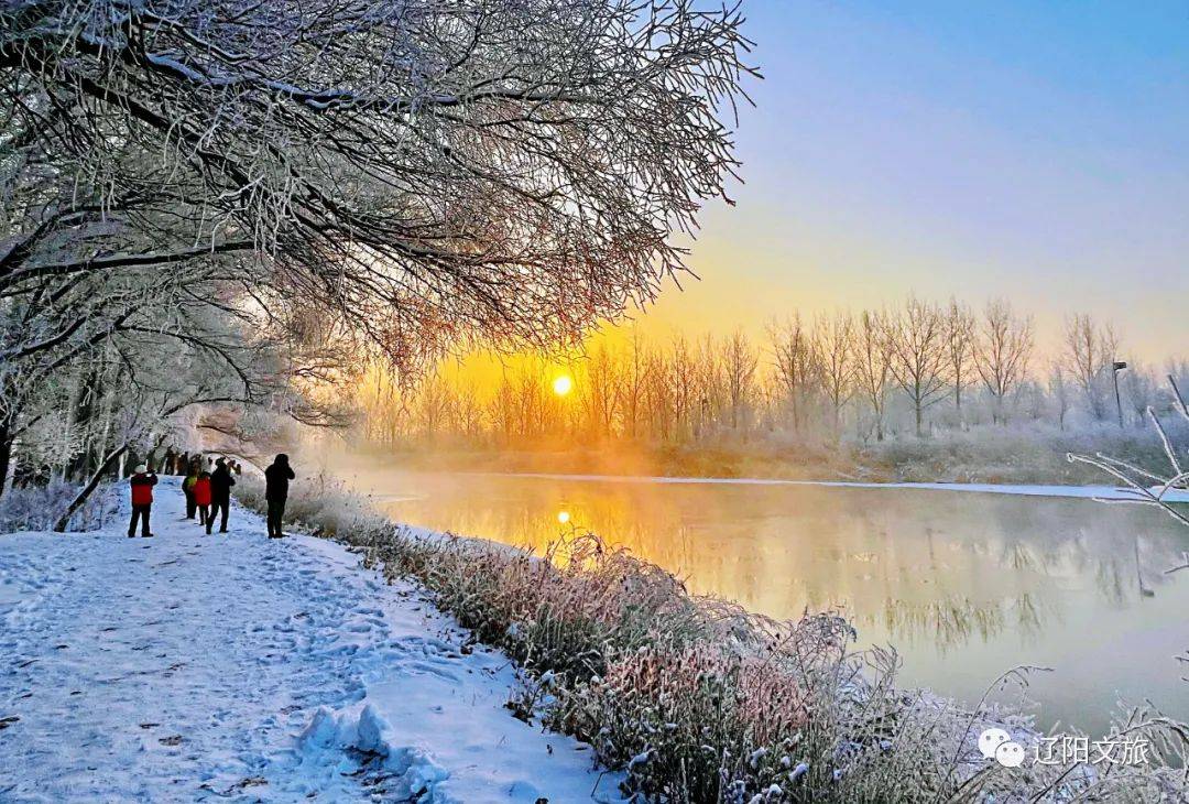 河堤雪柳玉树琼花浓雾散尽的辽阳惊现如幻仙境