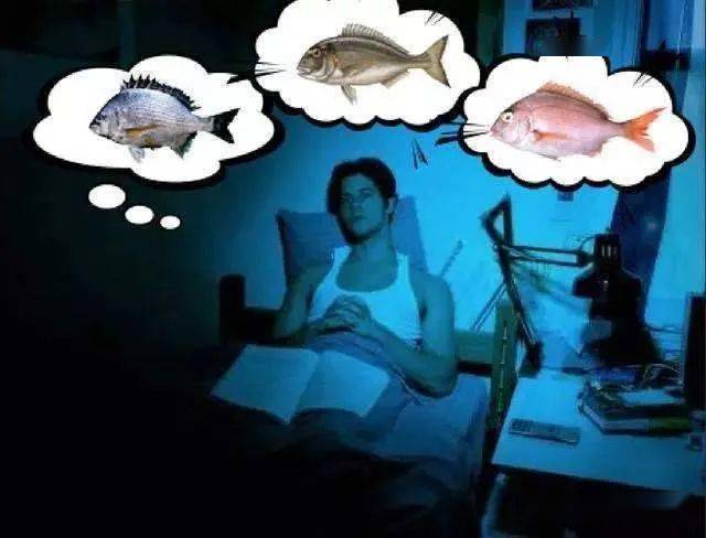 哪怕晚上整理装备到半夜两点,那躺床上也睡不着,满脑子不是黑漂就是顿