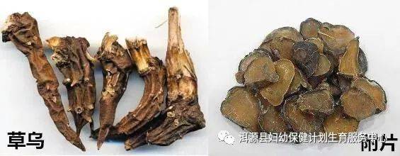 【专题宣传】食用草乌、川乌、附片需谨慎 !-搜狐大视野-搜狐新闻