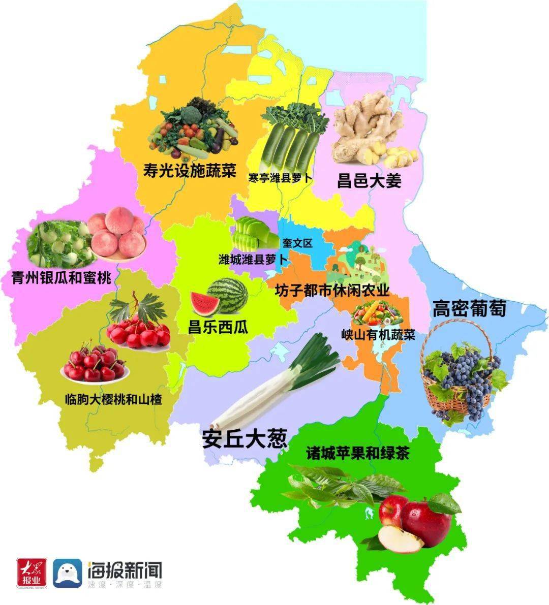 在蔬果方面,潍坊目前已成为中国北方地区最大的蔬菜生产和集散地,京津