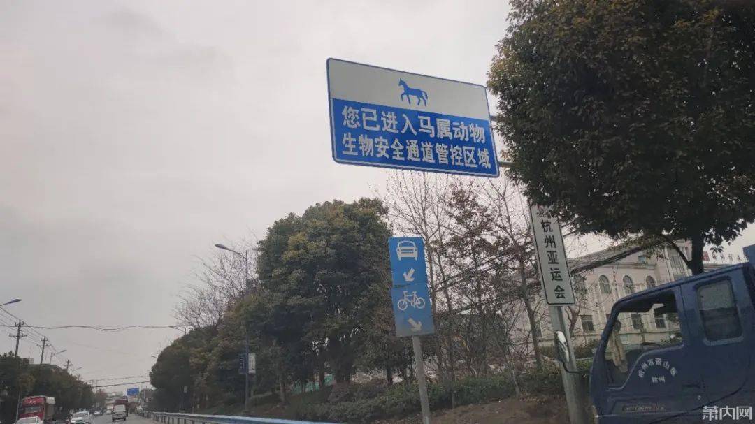 一匹马猜一成语是什么_一睹奥运战马风采猜一猜这是华天哪匹马(图)(2)