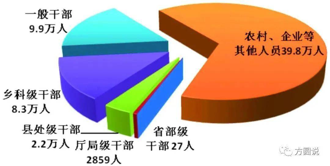 全国办理人口_第七次全国人口普查(3)