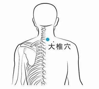 被譽為人體的