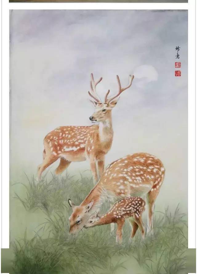 孙锡之工笔花鸟欣赏太美了不容错过