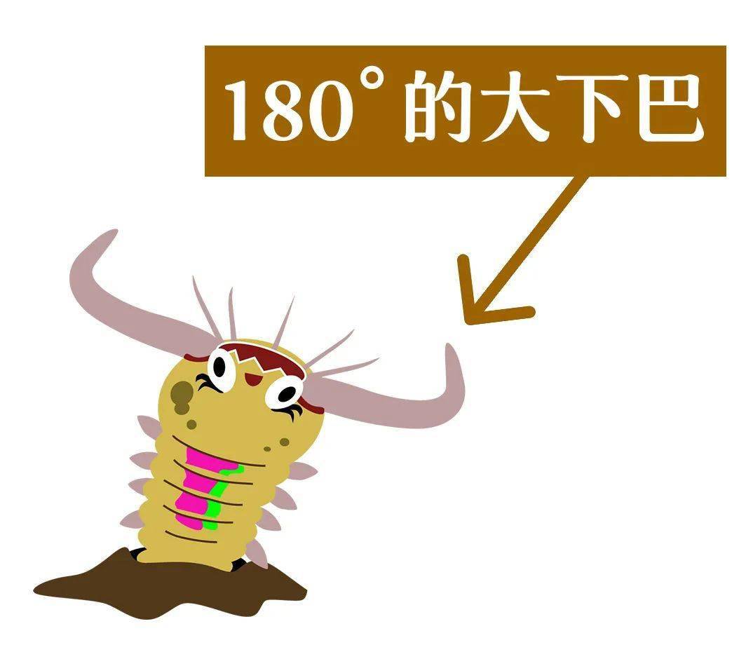 准确说是下颌骨博比特虫的下巴这个工具就是而且看起来很好用!