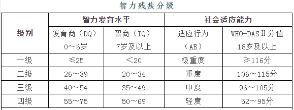 殘疾人證辦理辦事指南，注意看：2021年殘疾人證辦理告知書，關(guān)于殘疾證的重要知識(圖9)