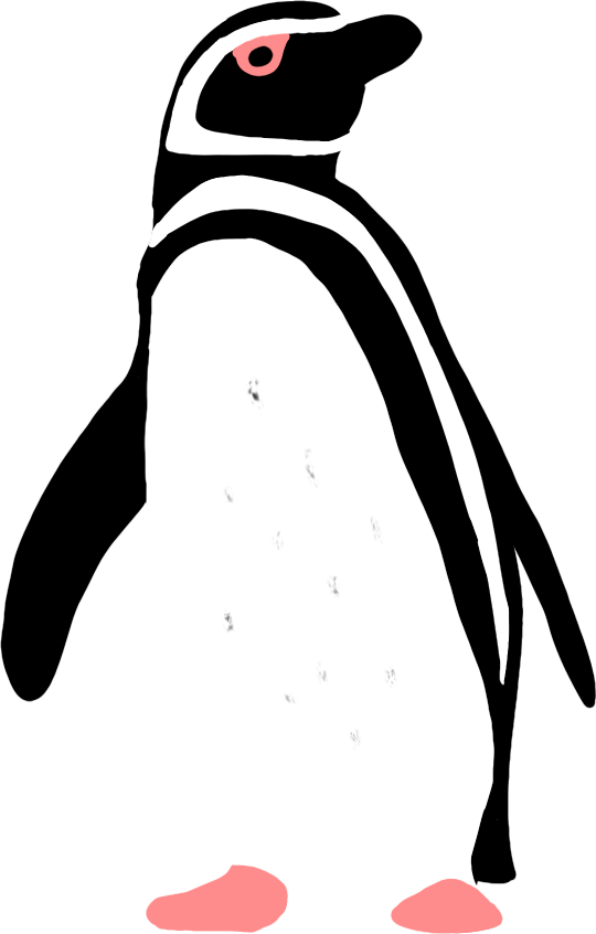 乐学海洋科普课堂认识萌趣可爱的企鹅绅士