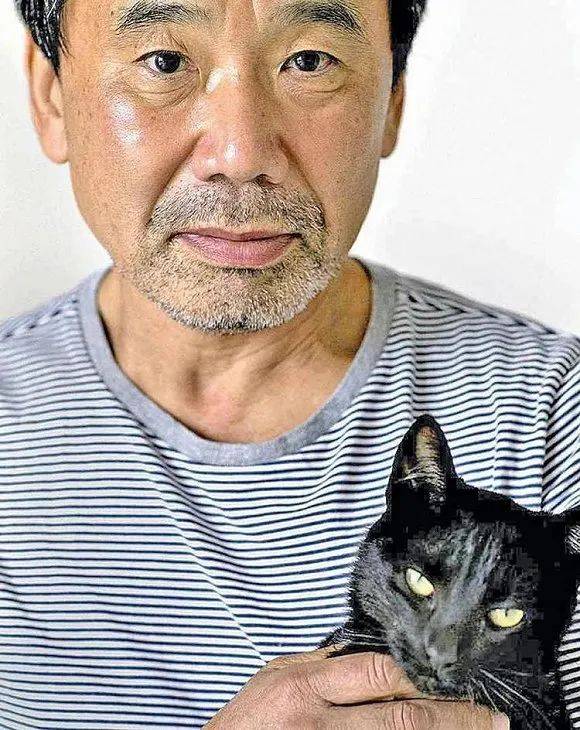 村上春树轻飘飘 从 弃猫 看村上的历史书写与现实批评 父亲