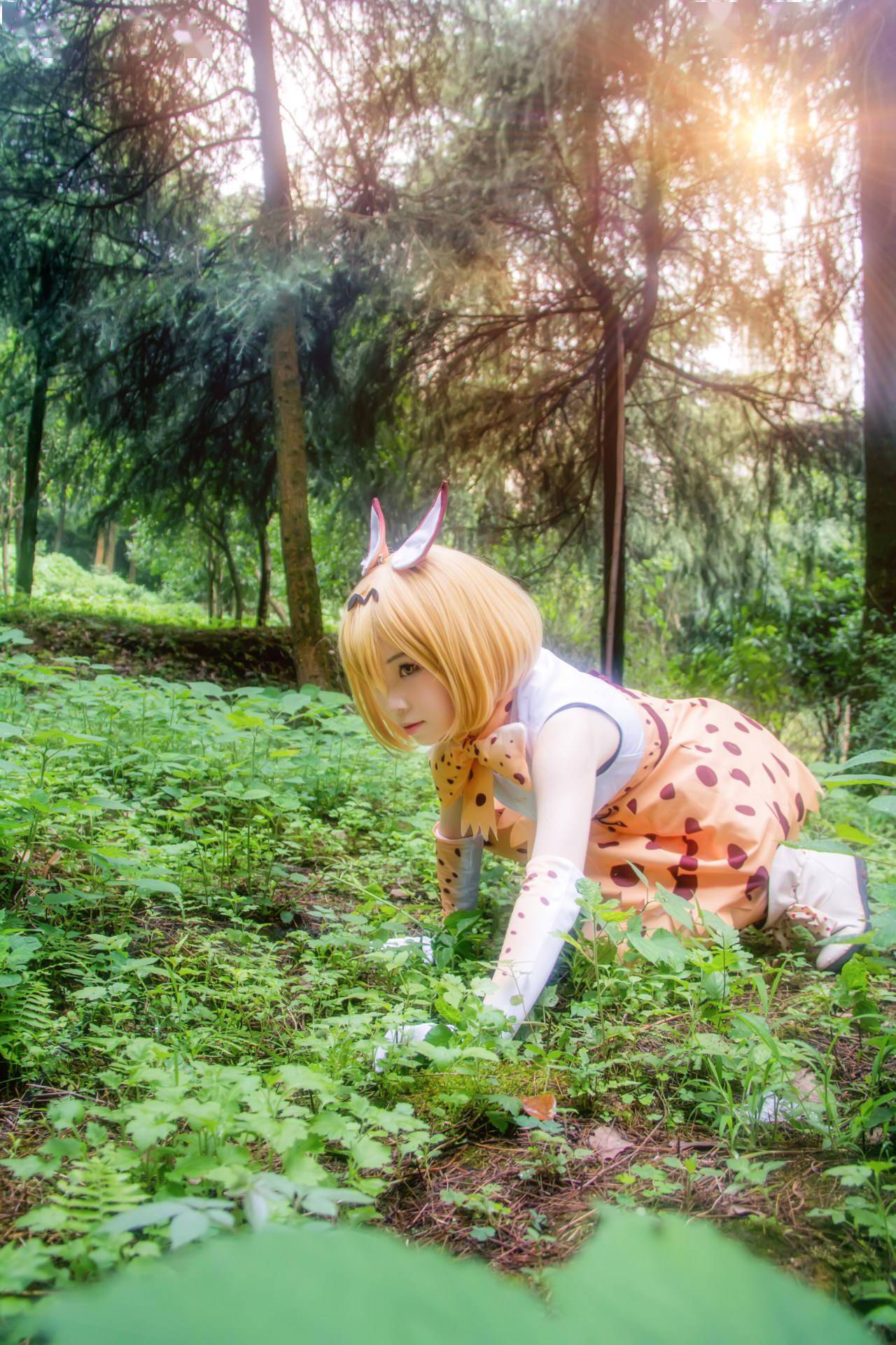 兽娘动物园薮猫cosplay