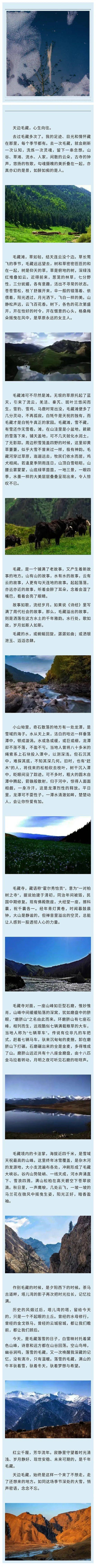 天边毛藏