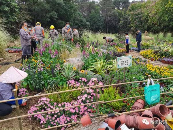 就地过年好去处 南宁各大公园鲜花盛开“满园春色”