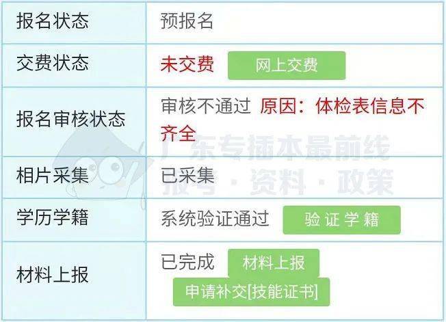 2021专插本报名人口_人口老龄化(3)