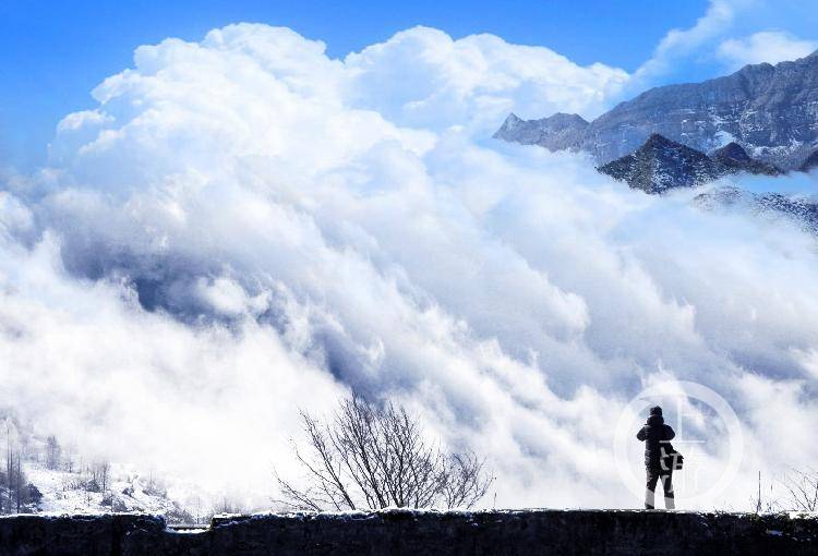 寻找大山深处的“火凤凰”