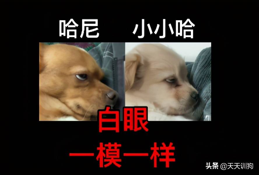 07c1347e9faa4ff4bf1f3ac8470fc2f3.jpeg