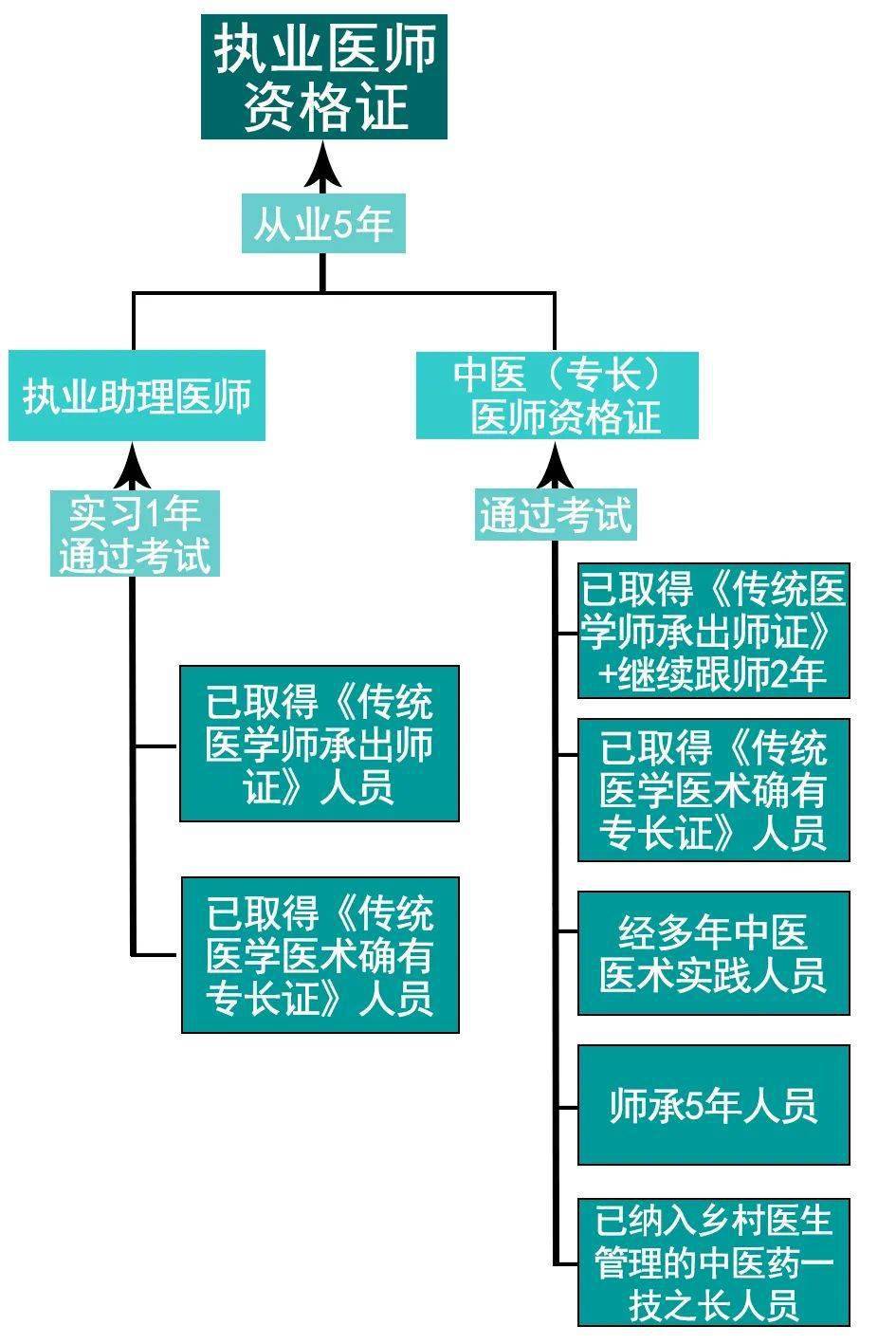 中医与人口_人口与国情手抄报