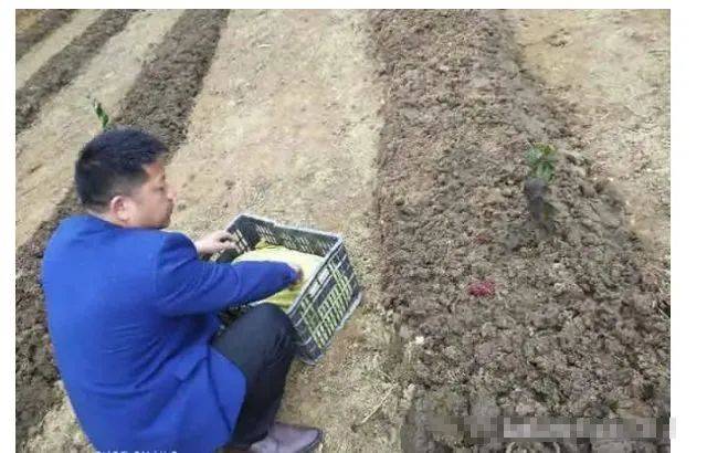 怎么养蚯蚓不跑 44e88aa67feb4602b72626734c3ec425.jpeg