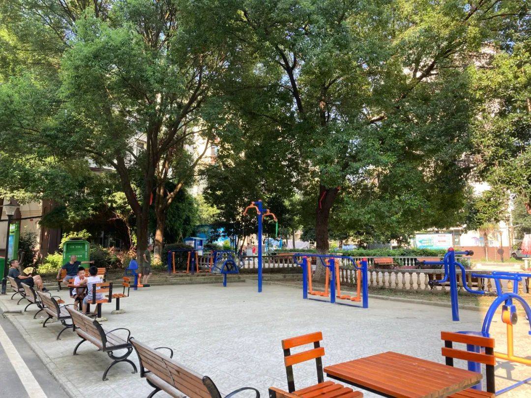 小区在树下开拓出50平方米的小广场方便居民休息添置了体育设施和桌椅
