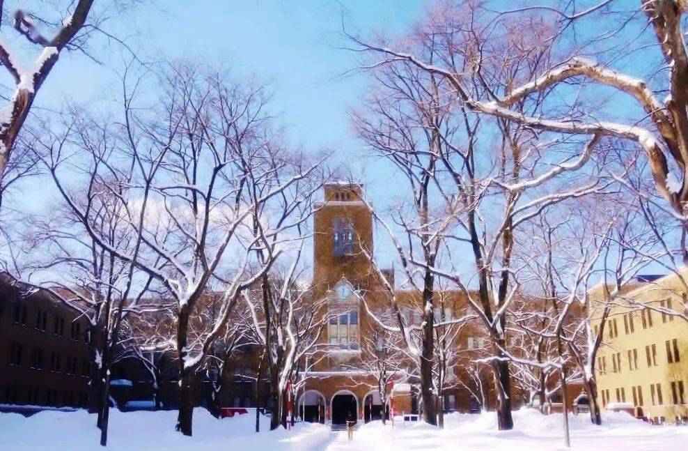 视频 日本名牌大学大蒋堂 北海道大学 中国