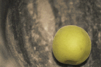 350_234gif 动态图 动图