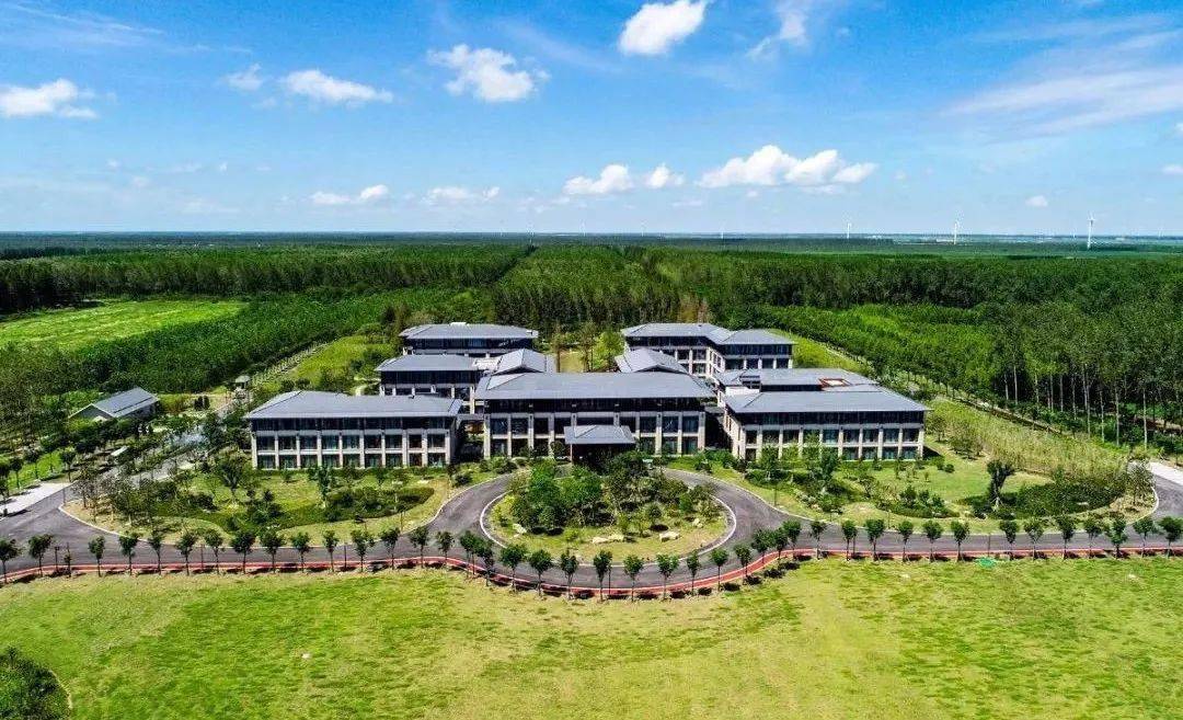 从今天起请叫我上海东台