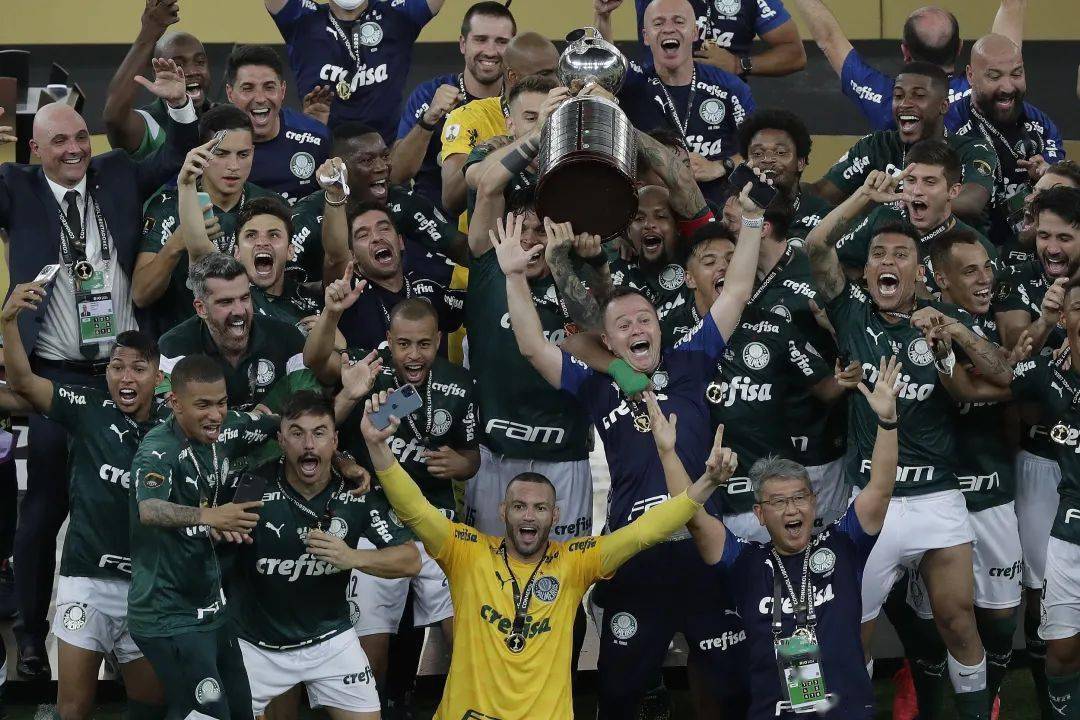 南美解放者杯帕尔梅拉斯10桑托斯夺冠布雷诺头球绝杀