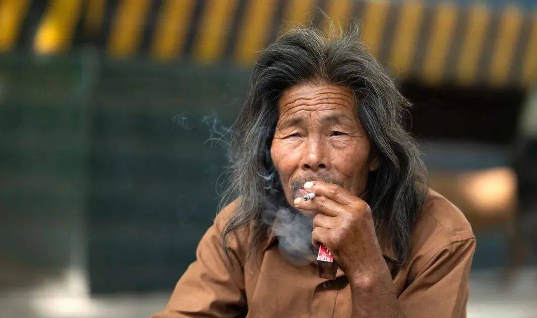 河南拾荒老人出行,12只"保镖"前呼后拥,看看啥阵仗