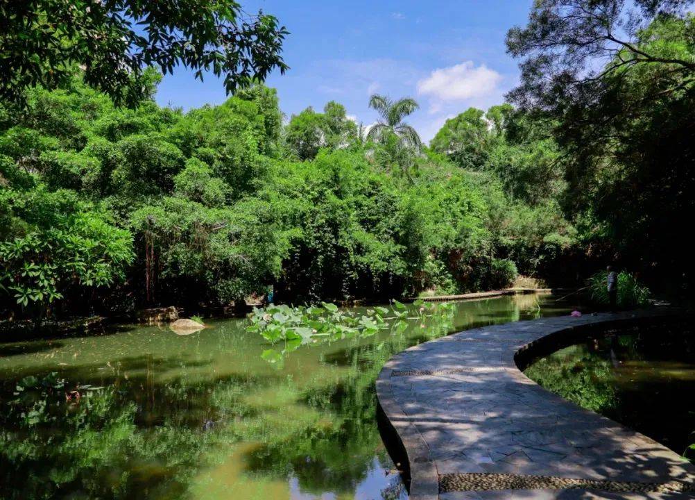 1號線直達這座神秘公園,一般人都找不到!_深圳