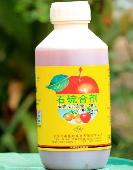 要想清园效果好石硫合剂少不了