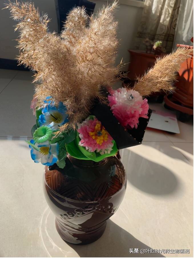 鲜花变色是利用什么原理_会变色的猫是什么(2)