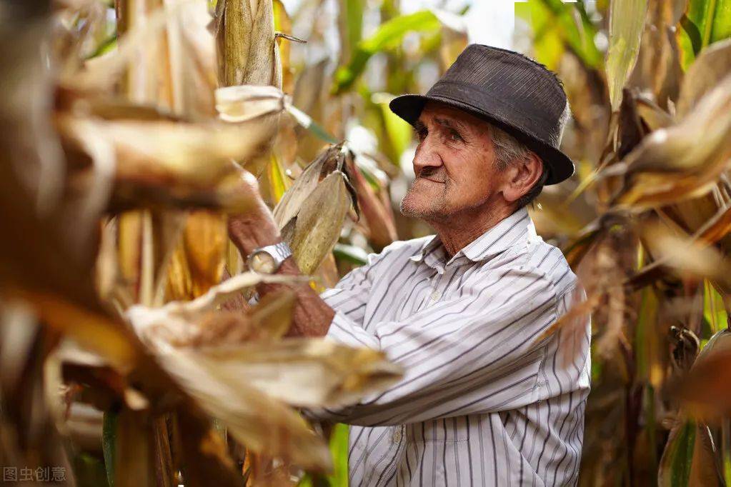 给农民发退休金作为引领者德国的做法可否借鉴