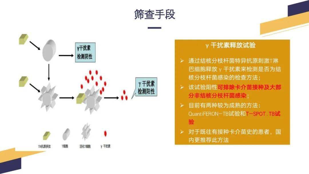 系統性風溼病罹患結核的發病機制及患者管理